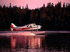 Go for Takeoff, DeHaviland Beaver Aircraft, Lake Hood, Alaska